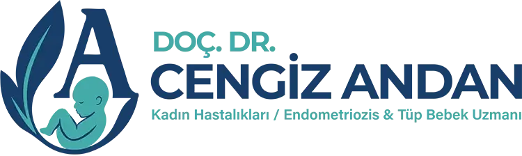 cengiz andan logo
