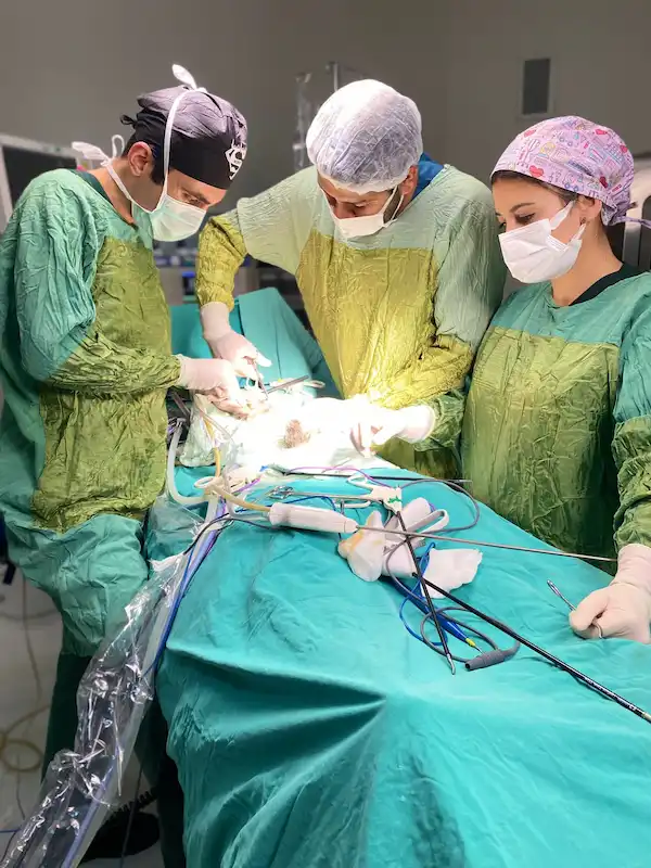 Opération de l’endométriose à Istanbul – Professeur Agrégé Dr. Cengiz Andan